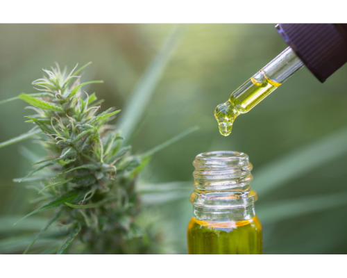 Hemp and CBD Industry Faces Regulatory Challenges Across States